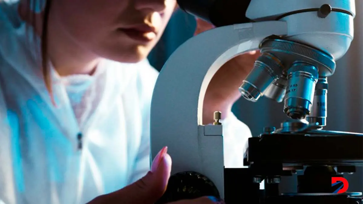 Investigaci&oacute;n