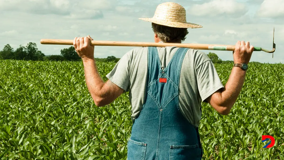 Sector agr&iacute;cola 1