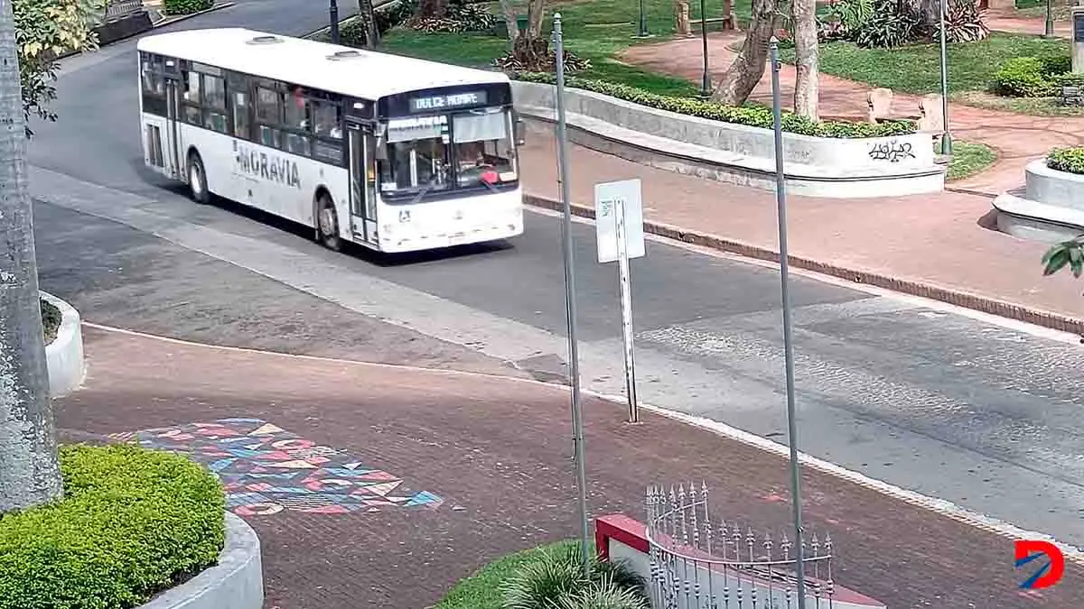 Solo 22 rutas de bus tienen suscritos sus contratos de concesi&oacute;n mientras que m&aacute;s de 840 est&aacute;n con permisos. Foto: Krissia Morris Gray.