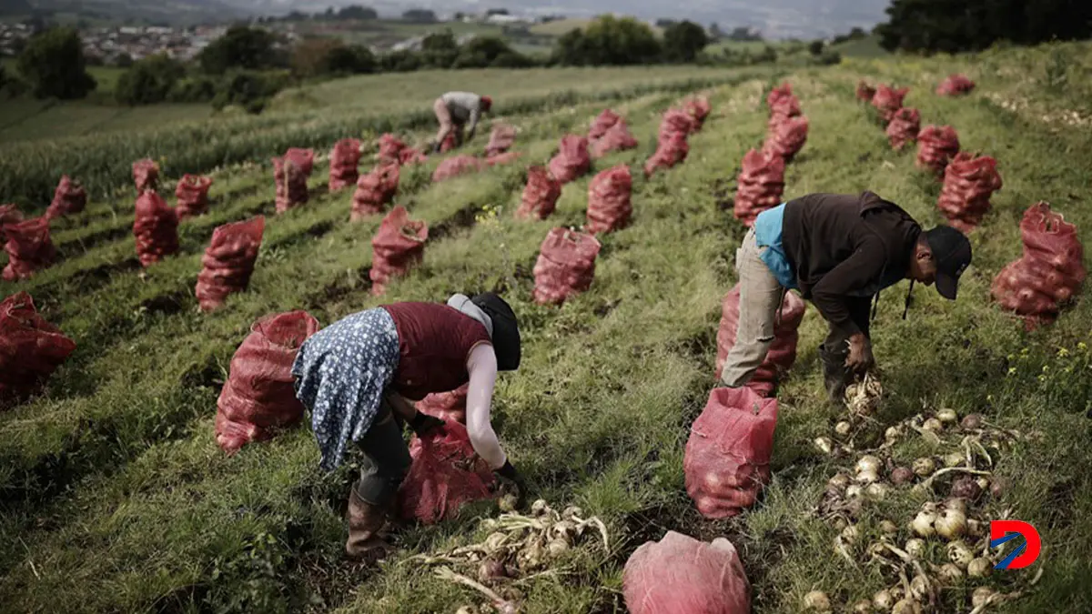 La C&aacute;mara Nacional de Agricultura y Agroindustria sali&oacute; al paso de las declaraciones del Presidente del Banco Central