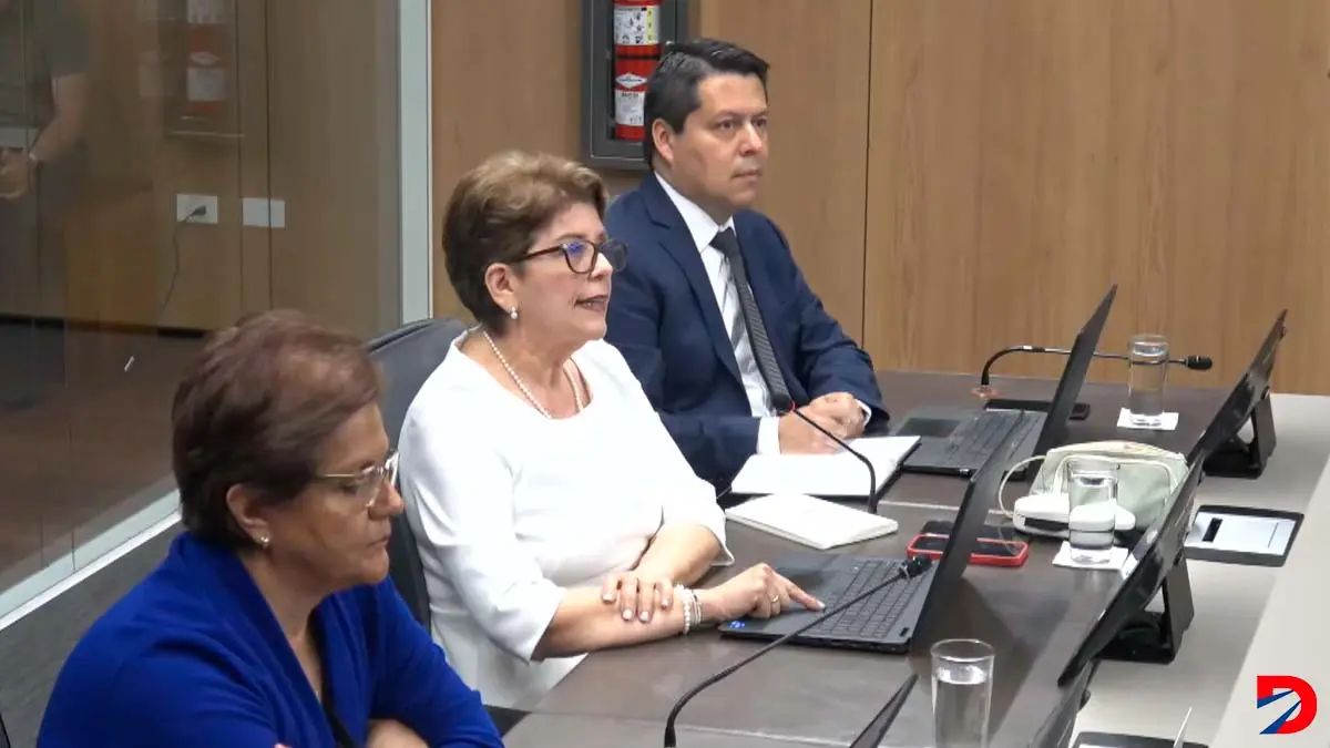Marta Acosta, contralora general de la Rep&uacute;blica, alert&oacute; a los diputados sobre aspectos detectados en los proyectos del Poder Ejecutivo en materia de Contrataci&oacute;n P&uacute;blica.  Foto; Captura de imagen.