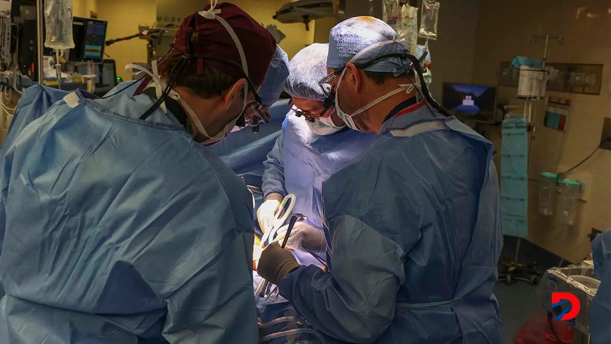 El pasado 16 de marzo un equipo de cirujanos del Massachusetts General Hospital, en Boston, realizaron el primer trasplante de un ri&ntilde;&oacute;n gen&eacute;ticamente modificado de cerdo a un ser humano. Foto: Michelle Rose / Massachusetts General Hospital / AFP.