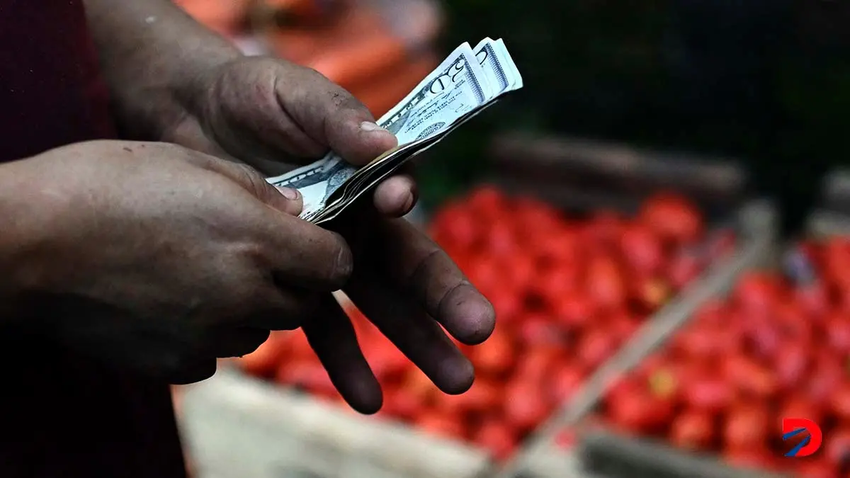 Un vendedor de verduras cuenta el dinero obtenido en uno de los mercados m&oacute;viles promovidos por el Gobierno de Nayib Bukele en El Salvador. Foto: Marvin Recinos / AFP.