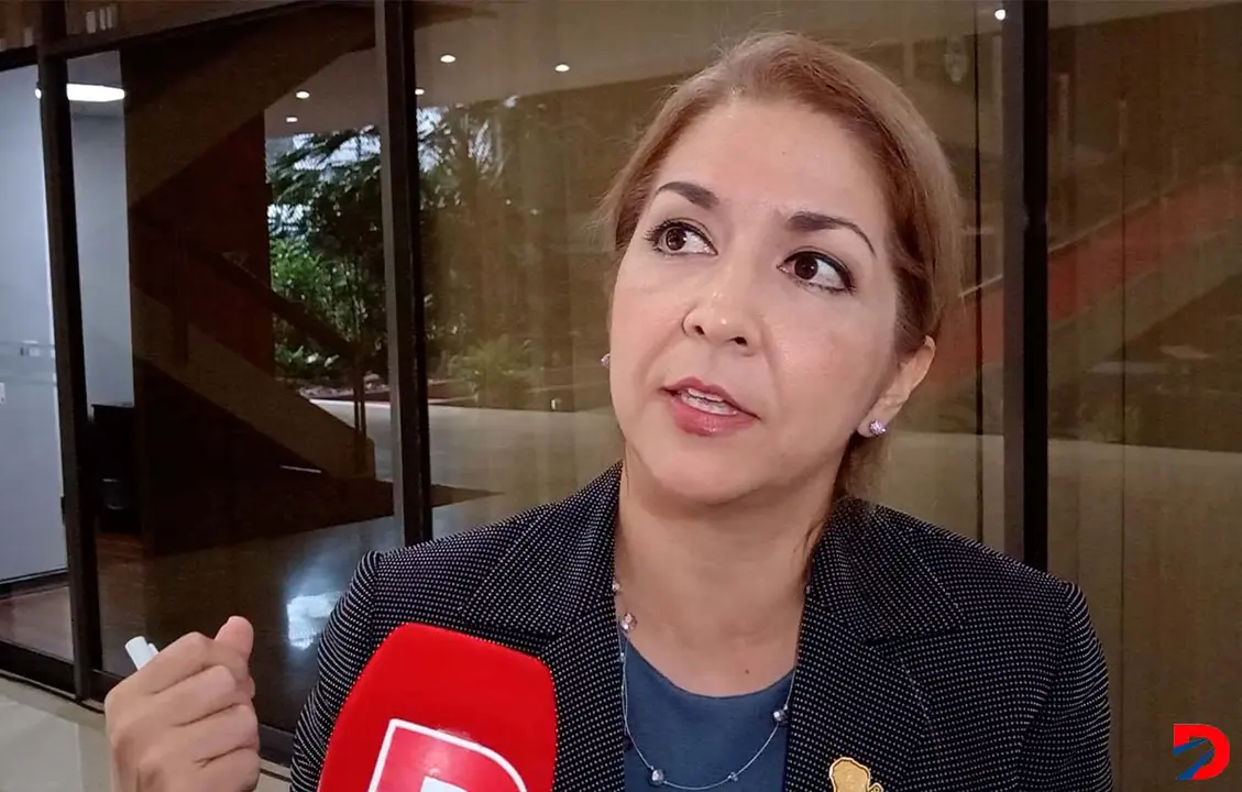 La ministra de Salud, Mary Munive recalc&oacute; que el dengue es una enfermedad prevenible.