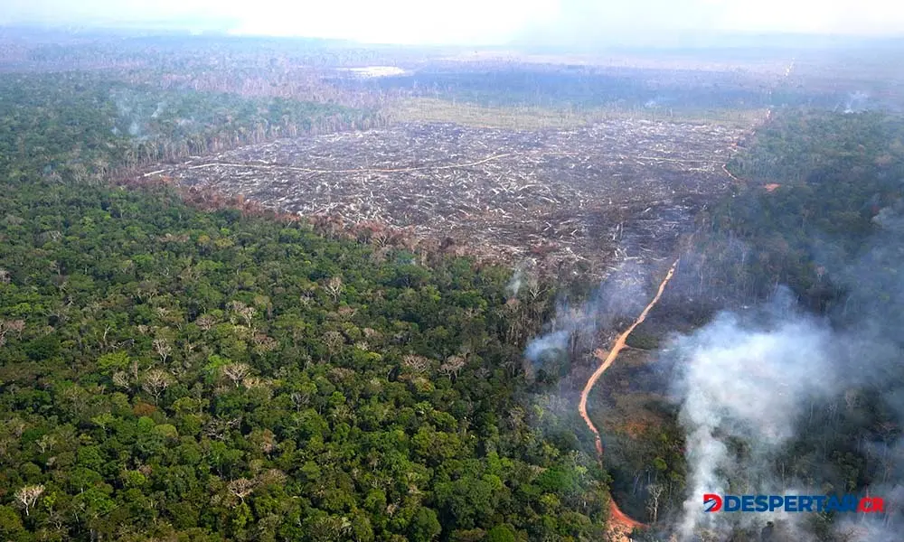 Vista a&eacute;rea de un &aacute;rea v&iacute;ctima de la deforestaci&oacute;n ilegal en el Amazonas, Brasil. Foto: Evaristo Sa / AFP.