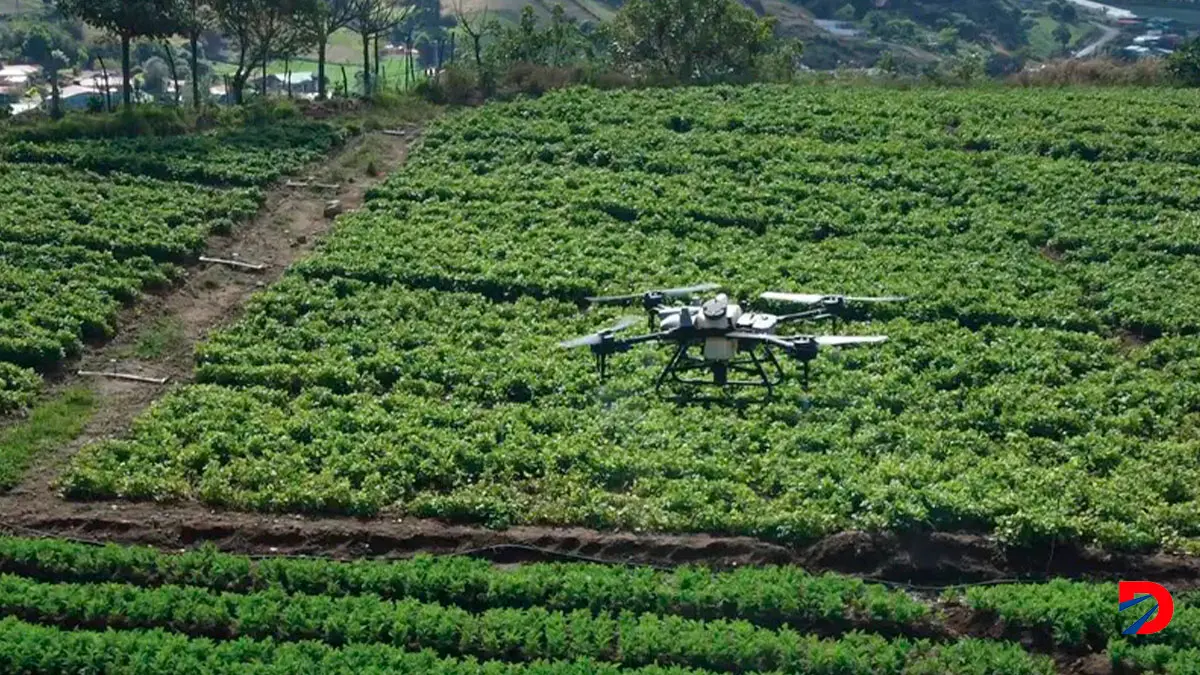 Drones