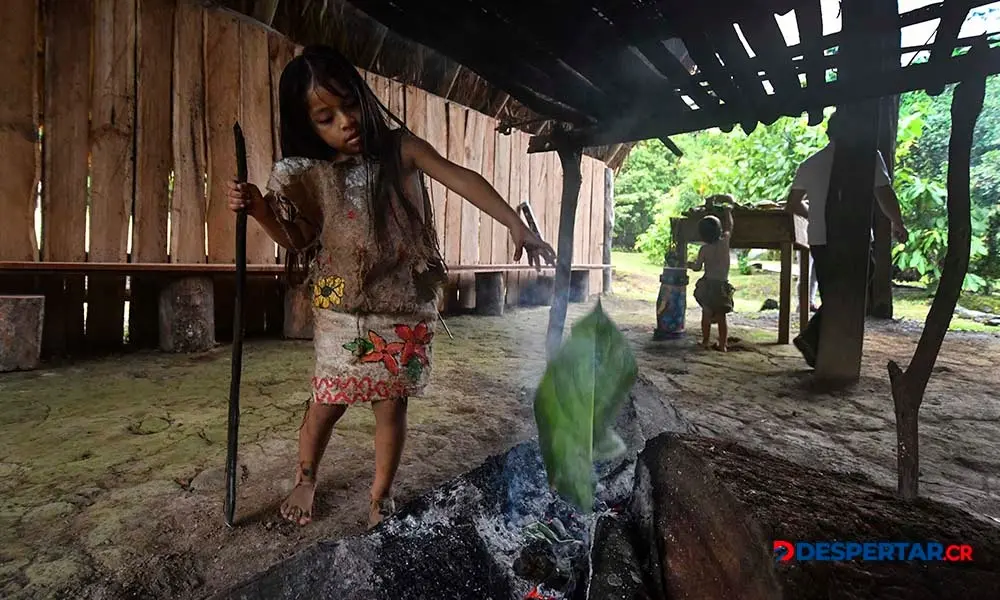 Keiri Gonz&aacute;lez, una joven ind&iacute;gena maleku, atiza una fogata con hojas. Foto: Ezequiel Becerra / AFP.