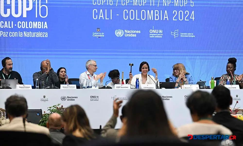 David Cooper, secretario ejecutivo de la COP16, y Susana Muhamad, presidenta de la conferencia y ministra del Ambiente de Colombia, durante la &uacute;ltima y fallida sesi&oacute;n plenaria, este s&aacute;bado. Foto: Joaqu&iacute;n Sarmiento / AFP.