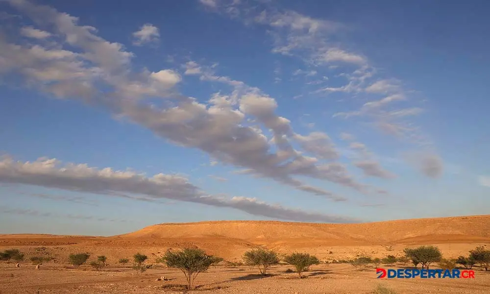 Imagen del Parque Nacional Al-Ghat, en Arabia Saudita. Foto: Fayez Nureldine / AFP.