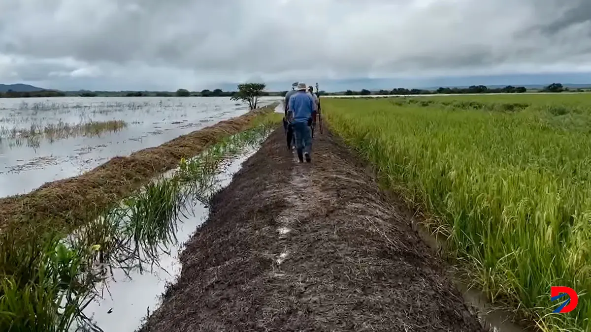 Sector agr&iacute;cola