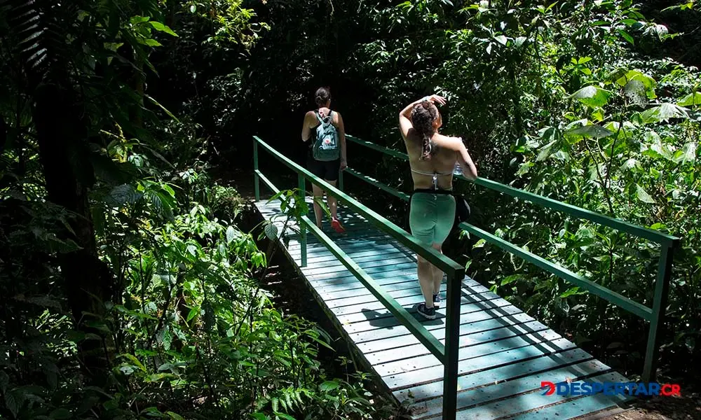 El porcentaje de turistas de Estados Unidos que visitan el pa&iacute;s se increment&oacute; en 2024, seg&uacute;n el reporte del ICT. Foto: Ezequiel Becerra / AFP.