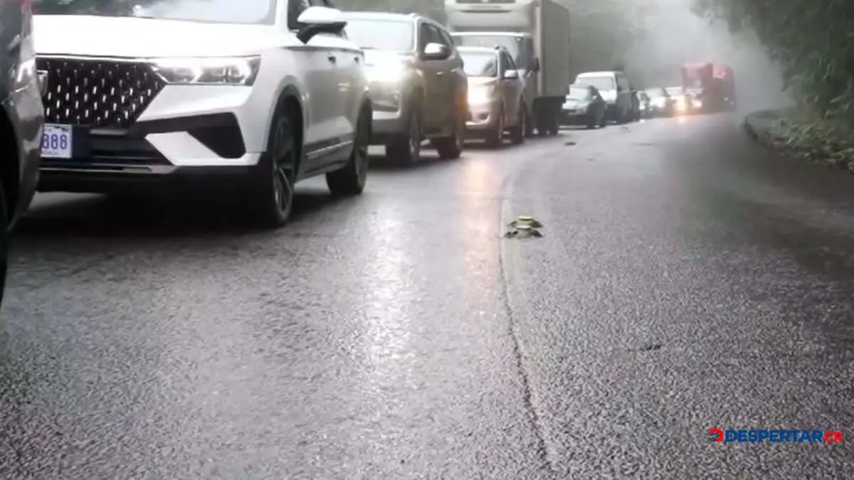 Con la intervenci&oacute;n en la ruta 32 buscan eliminar los cierres que se dan por los derrumbes