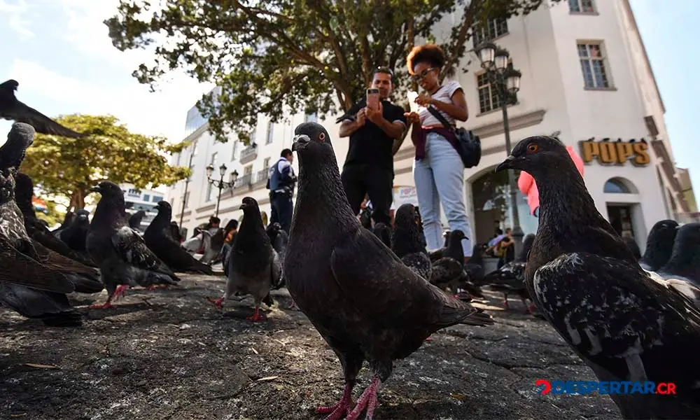 Costa Rica se situ&oacute; en el sexto lugar entre los pa&iacute;ses m&aacute;s felices del mundo. Foto: Ezequiel Becerra / AFP.