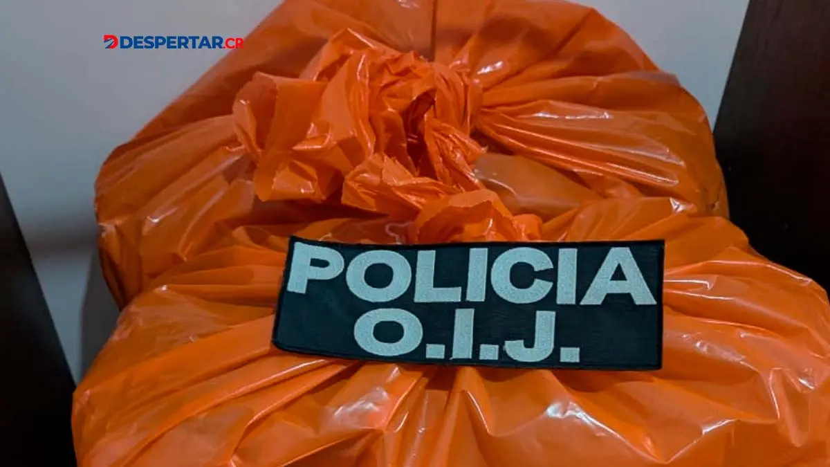 El Organismo de Investigaci&oacute;n Judicial realiz&oacute; 20 allanamientos en cuatro provincias para desarticular una organizaci&oacute;n dedicada a la leg&iacute;timaci&oacute;n de capitales. Foto OIJ