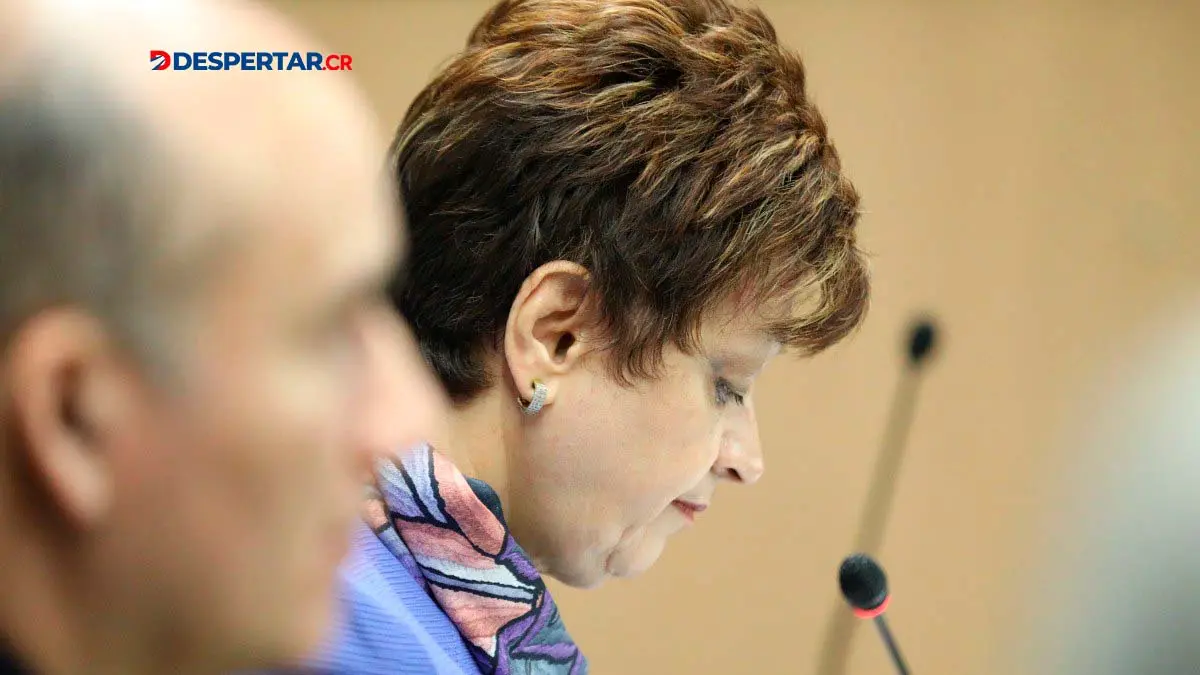 Los magistrados del TSE reiteraron que la decisi&oacute;n de limitar la doble postulaci&oacute;n corresponde a los diputados