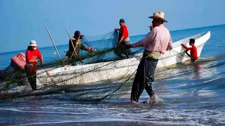 Pesca 