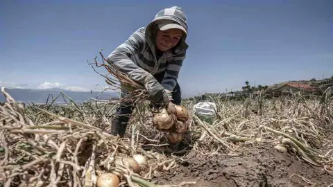Distintas organizaciones y c&aacute;maras agroempresariales, incluidas las organizaciones que integran ANA, han manifestado en diversos foros su preocupaci&oacute;n por el trato y olvido de su gremio.