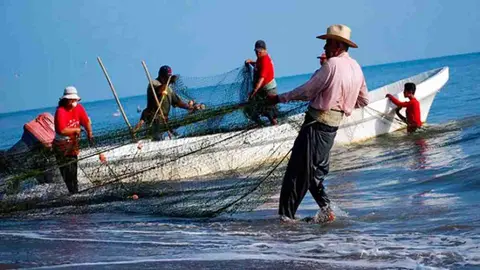 Pesca 