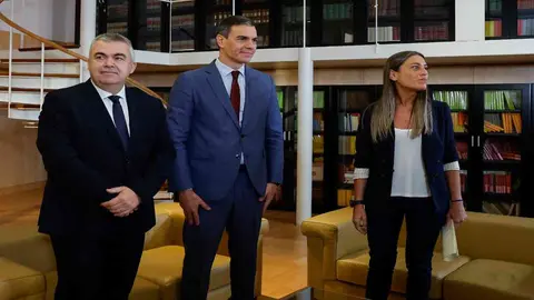 Pedro S&aacute;nchez 1