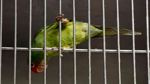Narcozool&oacute;gico Ecuador 1