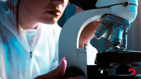 Investigaci&oacute;n
