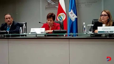 La directora general de Estrategia Tecnol&oacute;gica Xenia Guerrero ratifico que el TSE esta resgardada de cualquier problema tecnico