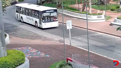 Solo 22 rutas de bus tienen suscritos sus contratos de concesi&oacute;n mientras que m&aacute;s de 840 est&aacute;n con permisos. Foto: Krissia Morris Gray.