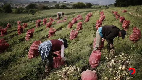 La C&aacute;mara Nacional de Agricultura y Agroindustria sali&oacute; al paso de las declaraciones del Presidente del Banco Central