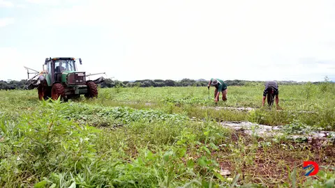 Fenomeno de La Ni&ntilde;a