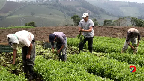 Agroindustria