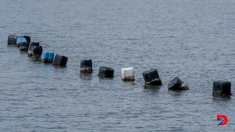 Esta imagen captada en isla Chira muestra una granja de ostras, el 23 de junio de 2022. Foto: Ezequiel Becerra / AFP.
