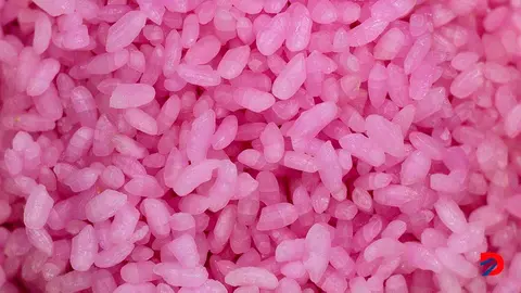 El arroz carnoso a&uacute;n no ha sido aprobado para consumo en Corea del Sur. Foto: Anthonyk Wallace / AFP.