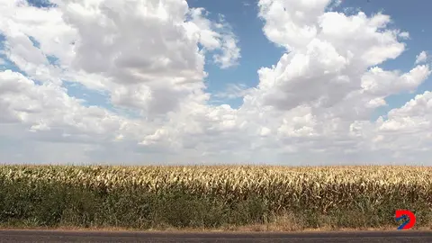 El excesivo calor afecta todos los &aacute;mbitos de la vida en la regi&oacute;n. Foto: Scott Olson / Getty Images Nort Am&eacute;rica / Getty Images via AFP.