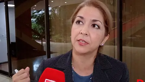 La ministra de Salud, Mary Munive recalc&oacute; que el dengue es una enfermedad prevenible.
