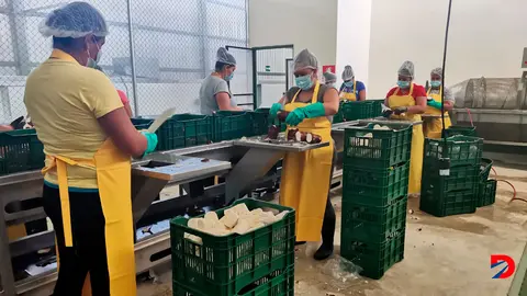 Planta de producci&oacute;n