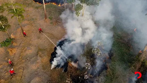 La situaci&oacute;n en el Amazonas sigue siendo preocupante por los niveles de deforestaci&oacute;n. Adem&aacute;s, un incendio en setiembre del a&ntilde;o anterior destruy&oacute; gran parte del bosque. Foto: Michael Dantas / AFP.