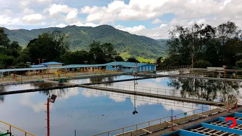 Proyecto h&iacute;drico