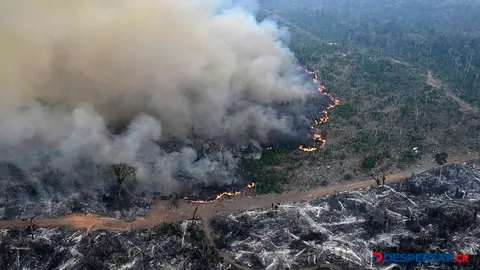 Vista del municipio de Labrea, en el Estado de Amazonas, en Brasil. Foto: Evaristo Sa / AFP.