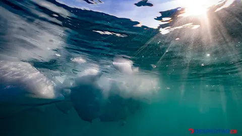 Esta imagen bajo el agua, tomada el 16 de agosto de 2023, muestra un iceberg derriti&eacute;ndose. Foto: Olivier Morin / AFP.