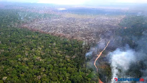 Vista a&eacute;rea de un &aacute;rea v&iacute;ctima de la deforestaci&oacute;n ilegal en el Amazonas, Brasil. Foto: Evaristo Sa / AFP.