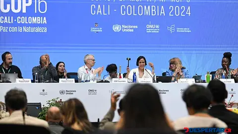 David Cooper, secretario ejecutivo de la COP16, y Susana Muhamad, presidenta de la conferencia y ministra del Ambiente de Colombia, durante la &uacute;ltima y fallida sesi&oacute;n plenaria, este s&aacute;bado. Foto: Joaqu&iacute;n Sarmiento / AFP.