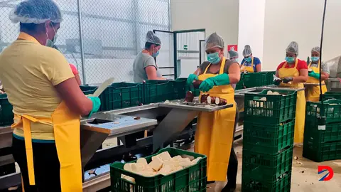 Industria alimentaria