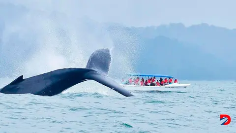 Turismo