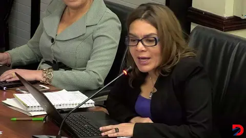 Sof&iacute;a Machuca, Auditora del ICE
