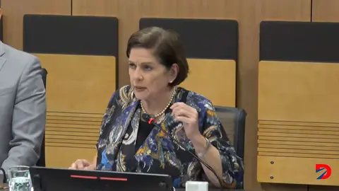 La diputada Pilar Cisneros