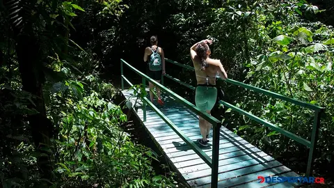 El porcentaje de turistas de Estados Unidos que visitan el pa&iacute;s se increment&oacute; en 2024, seg&uacute;n el reporte del ICT. Foto: Ezequiel Becerra / AFP.