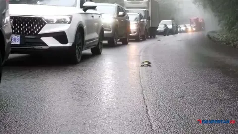 Con la intervenci&oacute;n en la ruta 32 buscan eliminar los cierres que se dan por los derrumbes