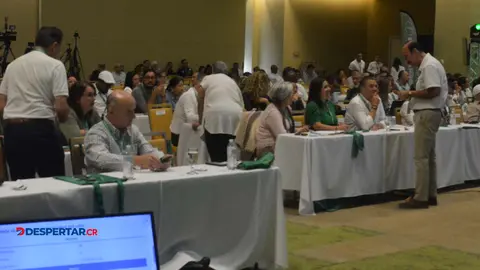 La Asamblea del PLN no puede integrar la Asamblea Cantonal de San Ram&oacute;n ni los otros &oacute;rganos locales, seg&uacute;n el TSE.