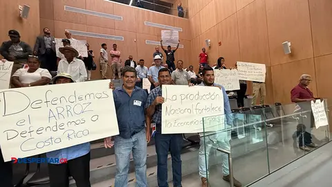 Seg&uacute;n CONARROZ hasta hace apenas tres a&ntilde;os, los productores nacionales abastec&iacute;an un 
40% del consumo interno anual.