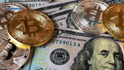 Los partidos pol&iacute;ticos podr&aacute;n recibir donaciones en criptomonedas, seg&uacute;n decreto del TSE.